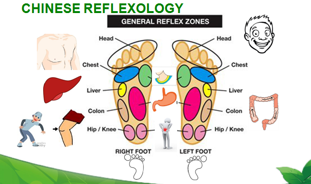 sayansi ya reflexology ya china